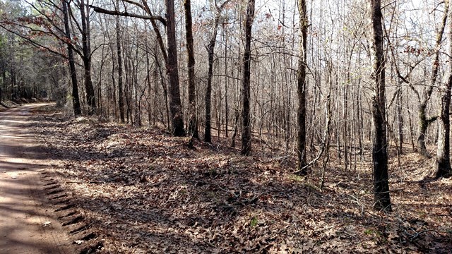 - Felton Mcmichael Road Monticello, GA 31064 - Photo 2 of 5 Additional Photo