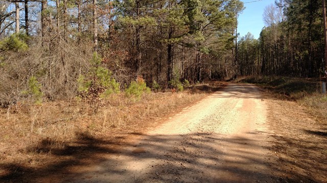 - Felton Mcmichael Road Monticello, GA 31064 - Photo 3 of 5 Additional Photo