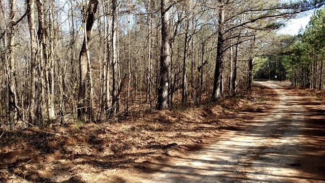 - Felton Mcmichael Road Monticello, GA 31064 - Photo 4 of 5 Additional Photo