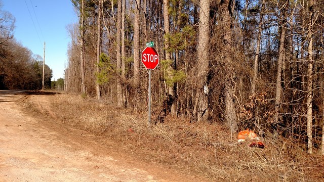 - Felton Mcmichael Road Monticello, GA 31064 - Photo 5 of 5 Additional Photo