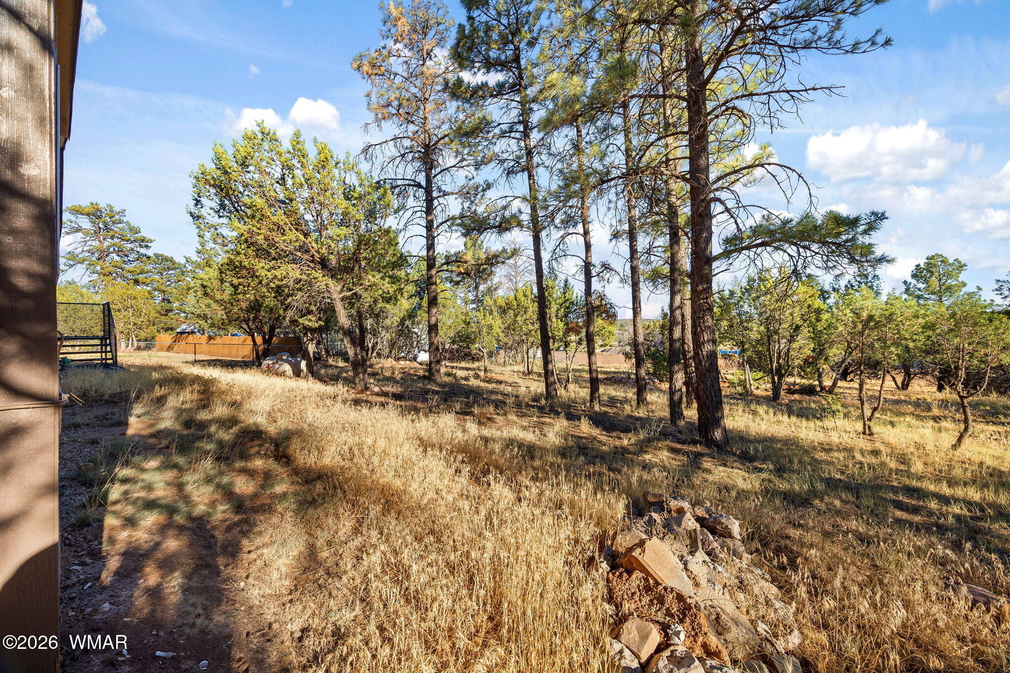 2181 Gingerbread Trail Overgaard, AZ 85933 - Photo 19 of 23