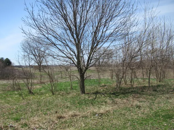 $89,900 | 2-60267 Century Drive, Cassopolis, MI 49031