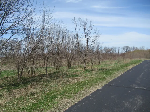 $89,900 | 2-60267 Century Drive, Cassopolis, MI 49031