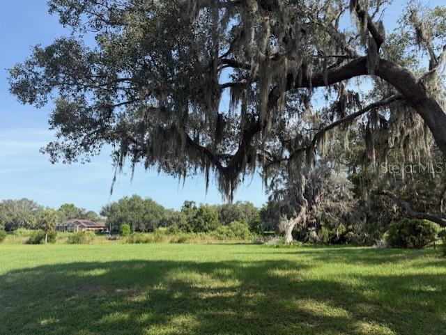 2550 South Bali Point Inverness, FL 34450 - Photo 3 of 5 a big yard with lots of green space and plants
