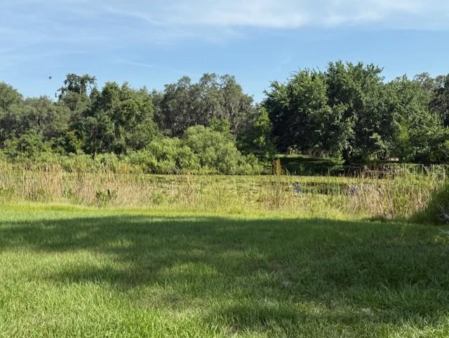 2550 South Bali Point Inverness, FL 34450 - Photo 4 of 5 a view of a park with large trees