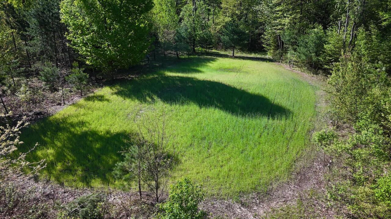 11547 1 Mile Road Leroy, MI 49655 - Photo 7 of 73 9_