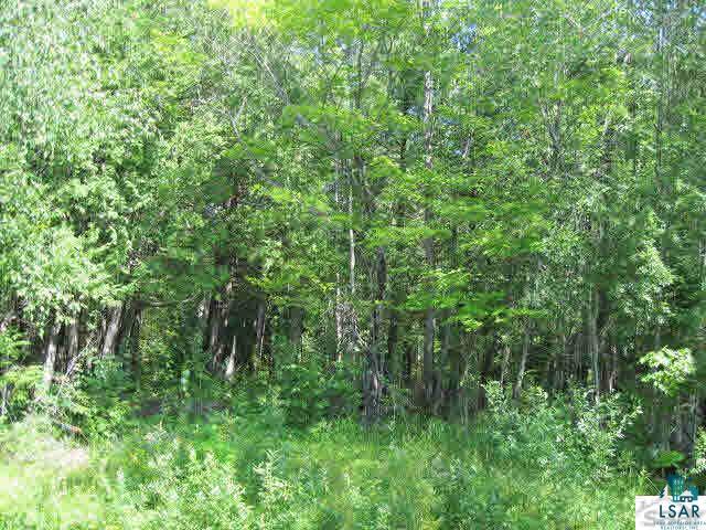 2 Little Sand Bay Road Bayfield, WI 54814 - Photo 4 of 7 Gallery Image 4