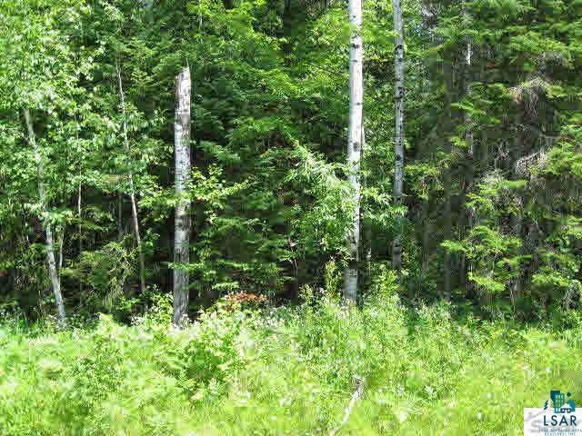 2 Little Sand Bay Road Bayfield, WI 54814 - Photo 5 of 7 Gallery Image 5
