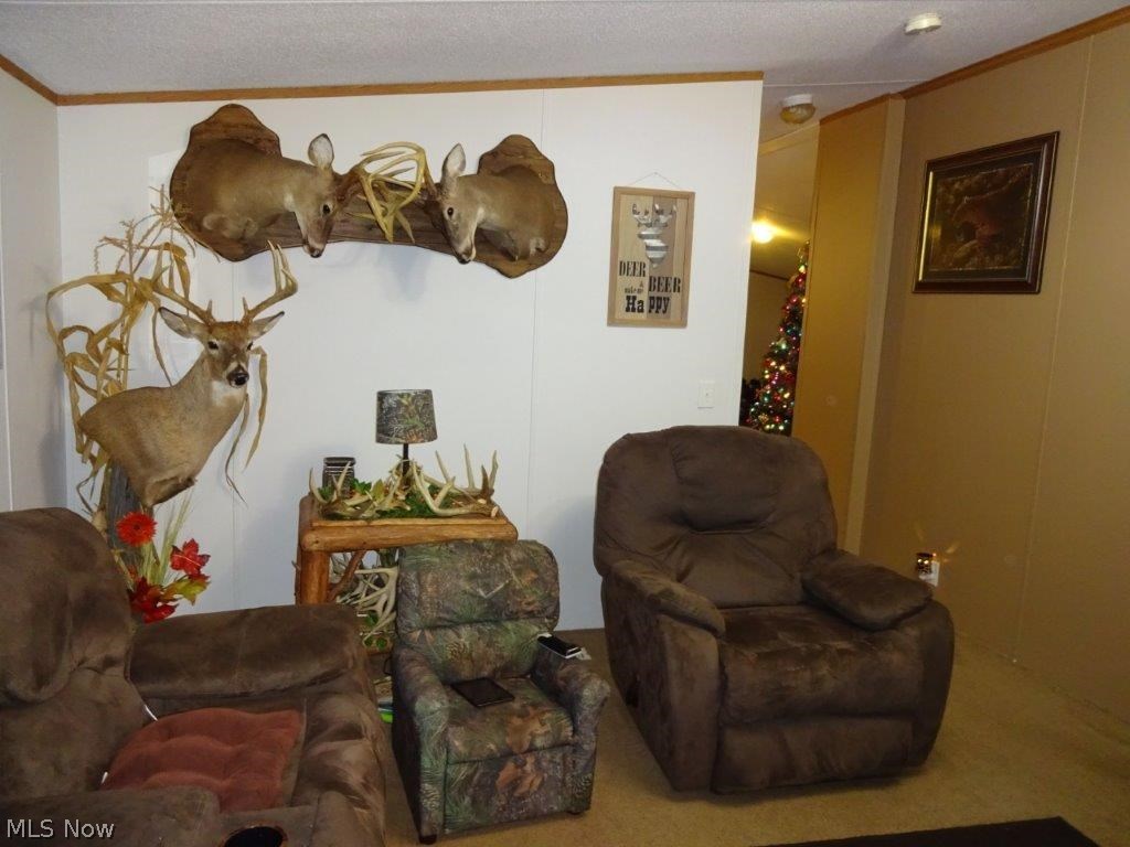 1557 Lower Nicut Road Orma, WV 25268 - Photo 7 of 21