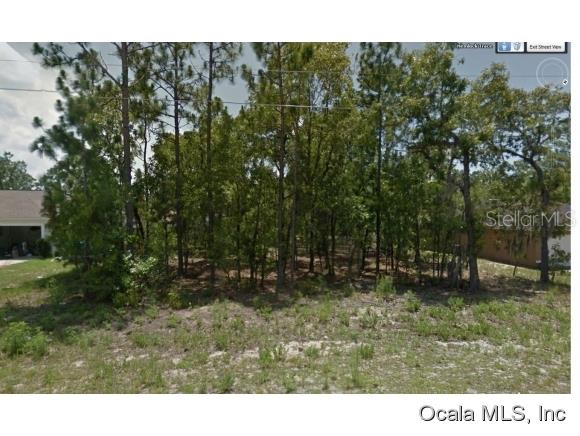 Lot 9 Lot Trace Ocala, FL 34472 - Photo 1 of 1 a backyard of a house with lots of green space