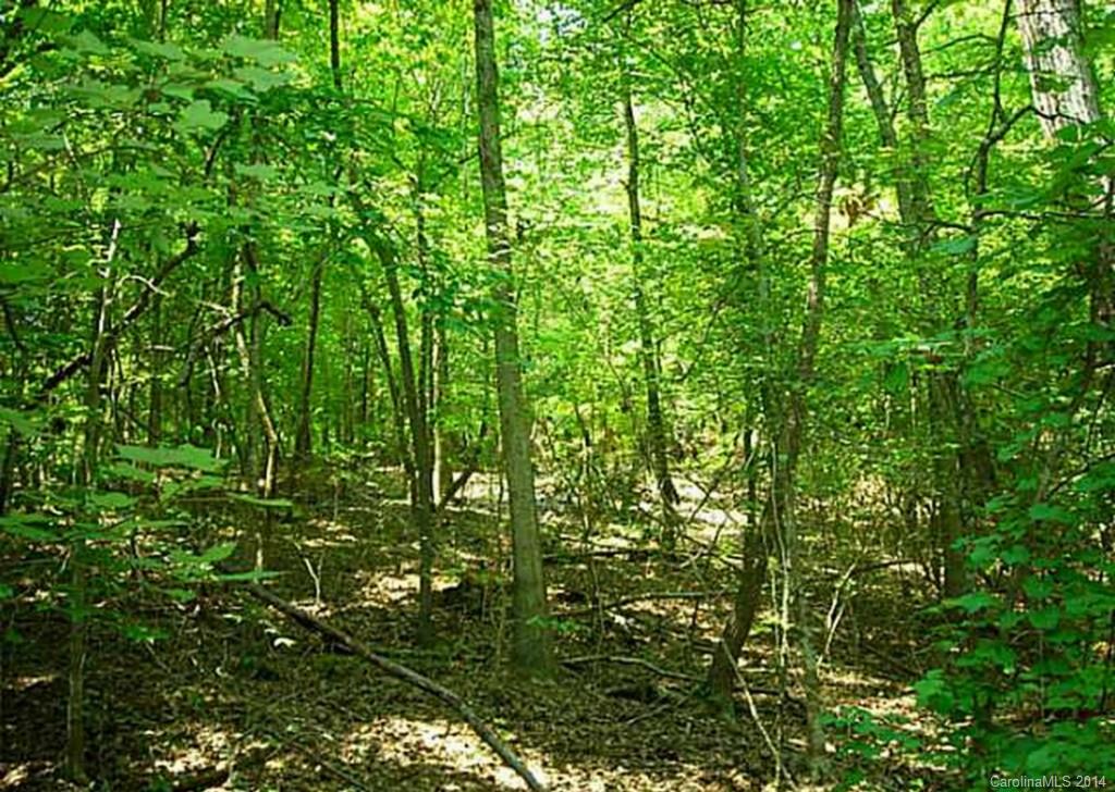 Lot 15 Bessbrook Road Fort Mill, SC 29708 - Photo 4 of 8
