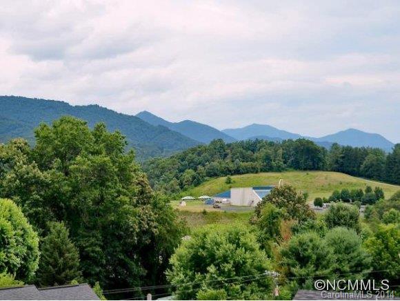 54 Alpine Way Clyde, NC 28721 - Photo 3 of 14