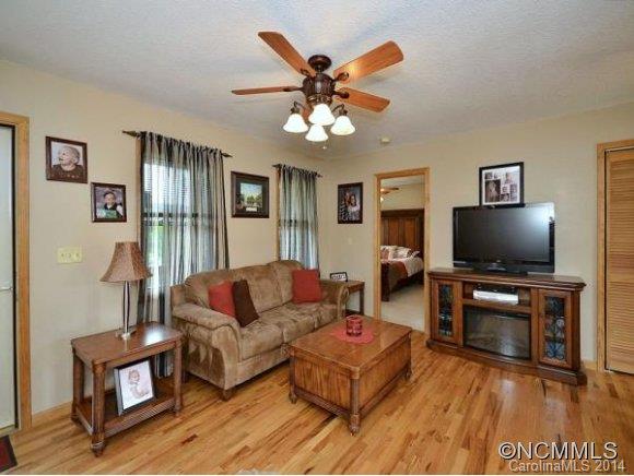 54 Alpine Way Clyde, NC 28721 - Photo 4 of 14
