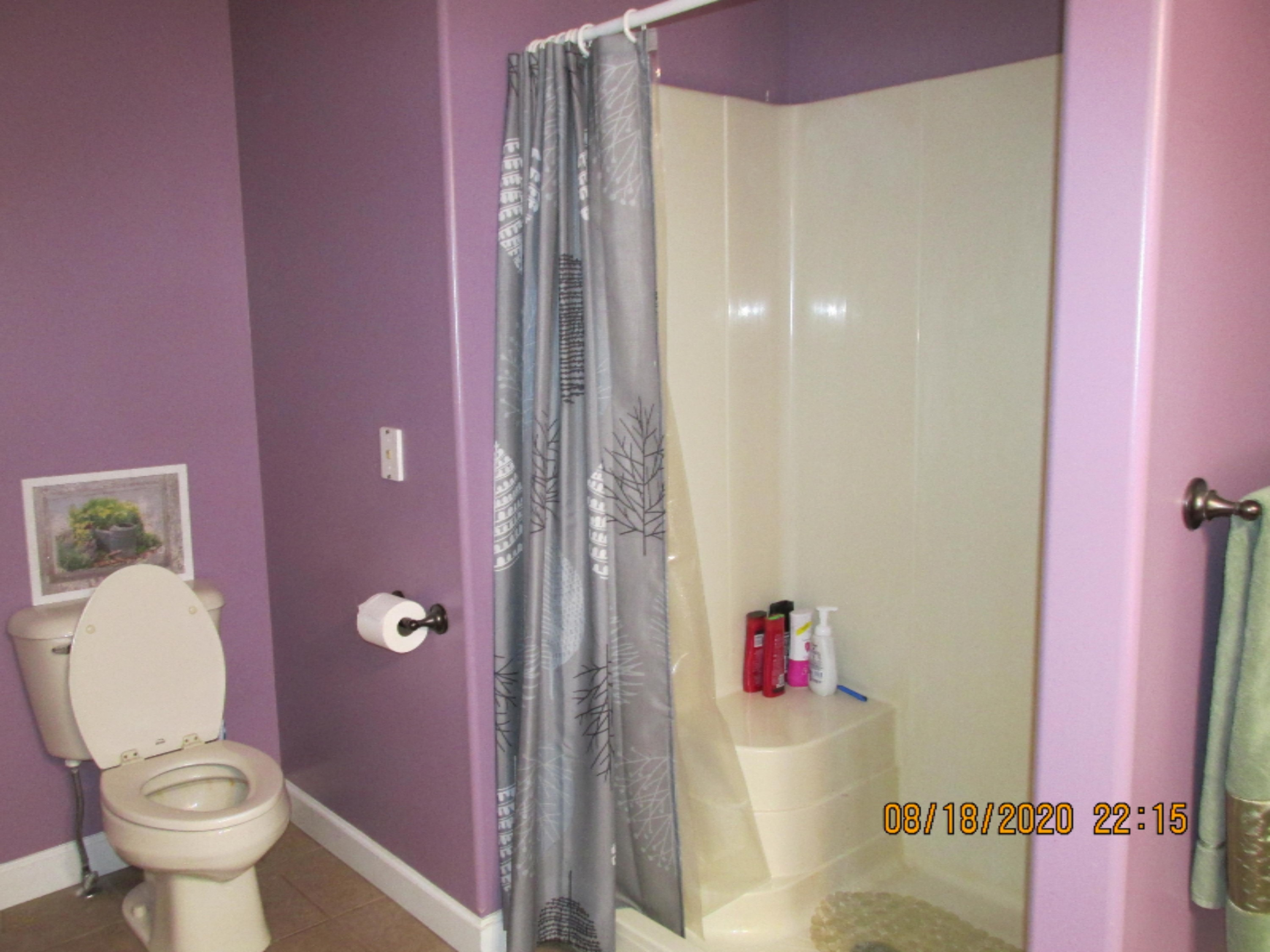 10200 Tamarack Road Lakeview, MI 48850 - Photo 13 of 20 IMG_0927