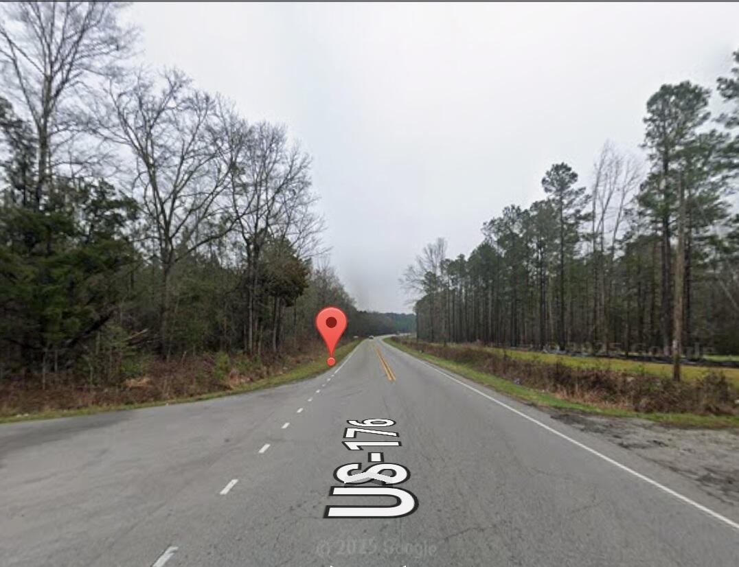 0 Coach Road Holly Hill, SC 29059 - Photo 3 of 3 1000005057