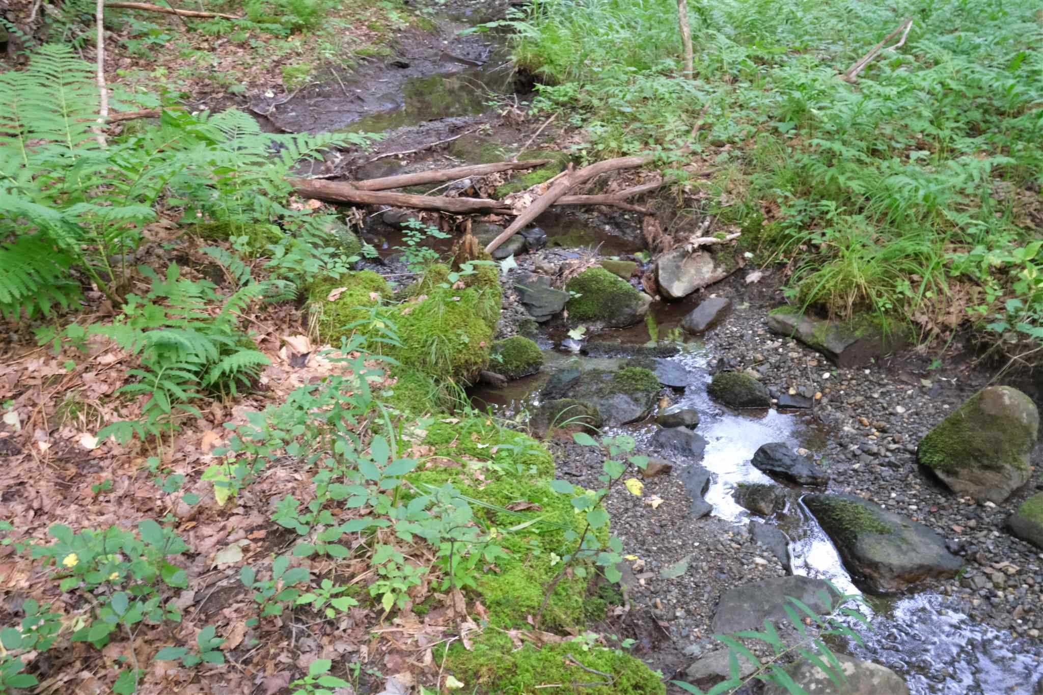 Lot 3 Taylor Road East Fairfield, VT 05448 - Photo 1 of 15 Gallery Image 1