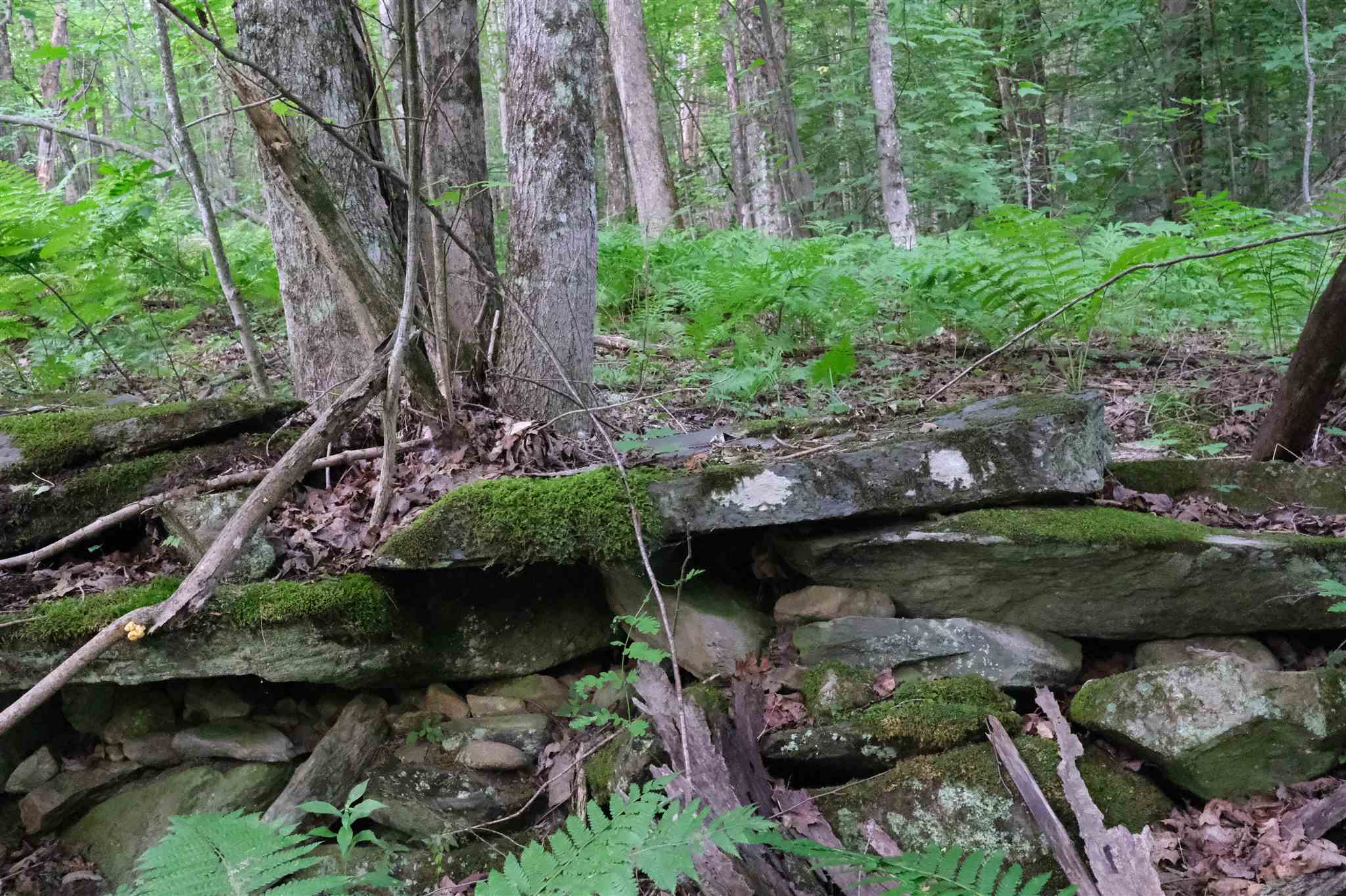 Lot 3 Taylor Road East Fairfield, VT 05448 - Photo 2 of 15 Gallery Image 2