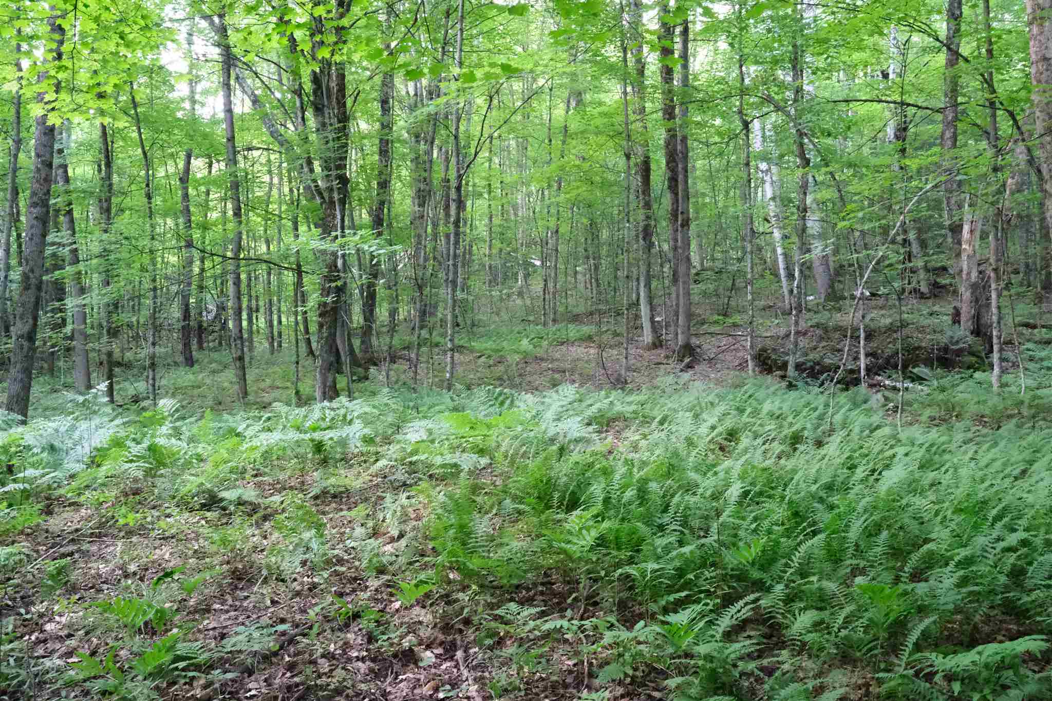 Lot 3 Taylor Road East Fairfield, VT 05448 - Photo 12 of 15 Gallery Image 12