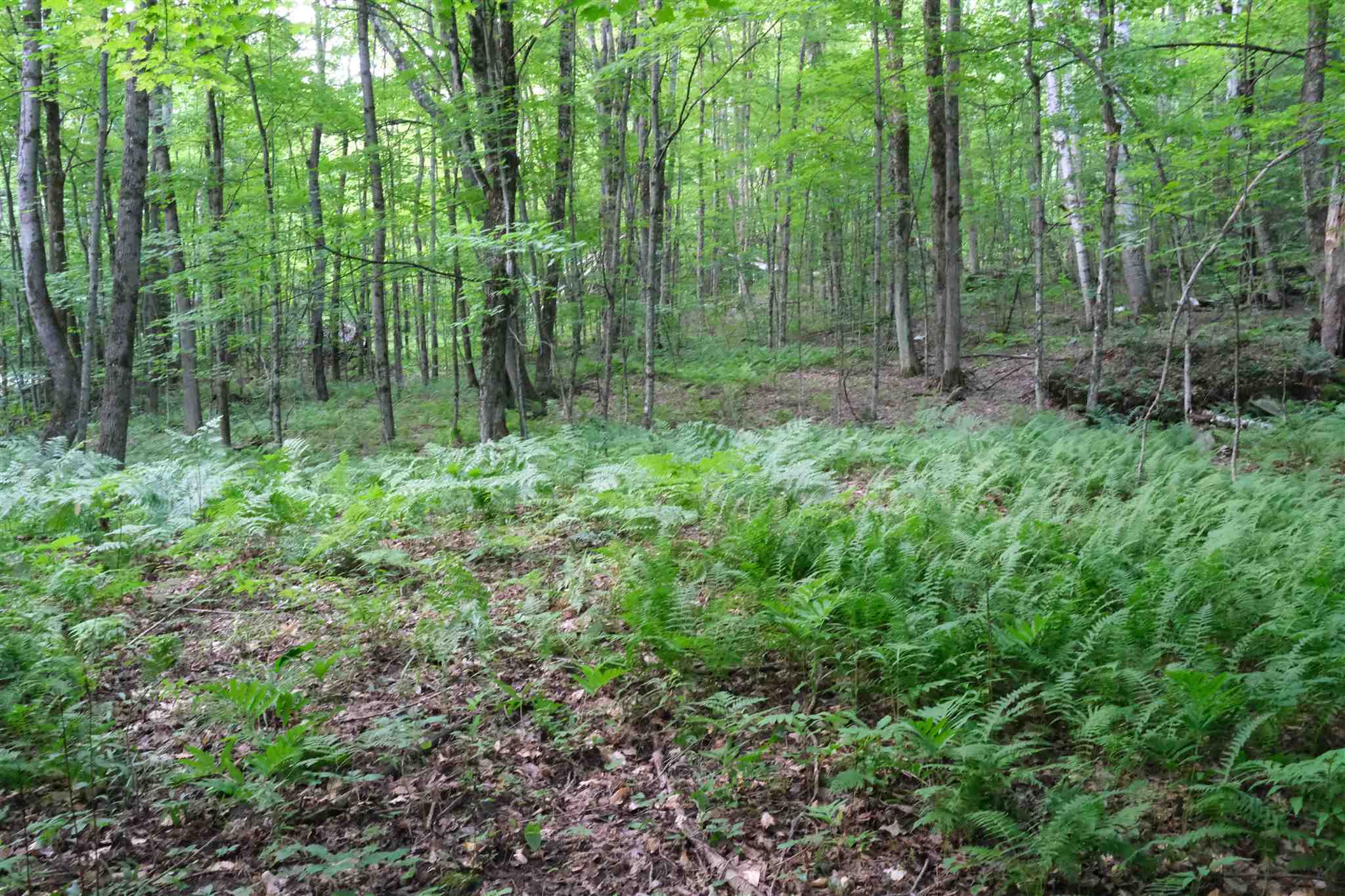 Lot 3 Taylor Road East Fairfield, VT 05448 - Photo 13 of 15 Gallery Image 13