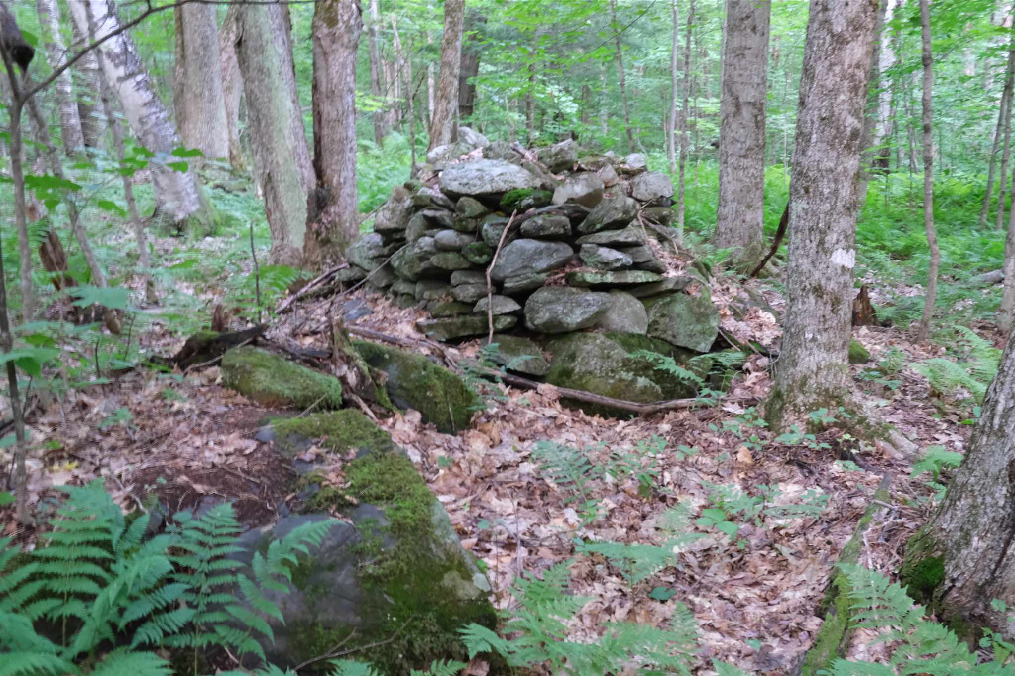 Lot 3 Taylor Road East Fairfield, VT 05448 - Photo 3 of 15 Gallery Image 3