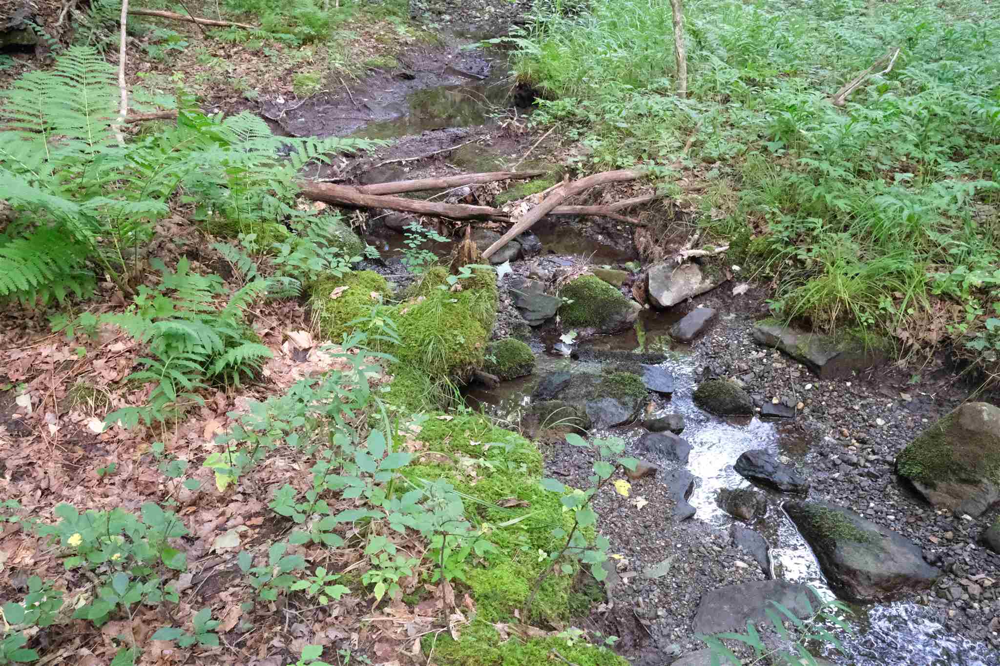 Lot 3 Taylor Road East Fairfield, VT 05448 - Photo 4 of 15 Gallery Image 4