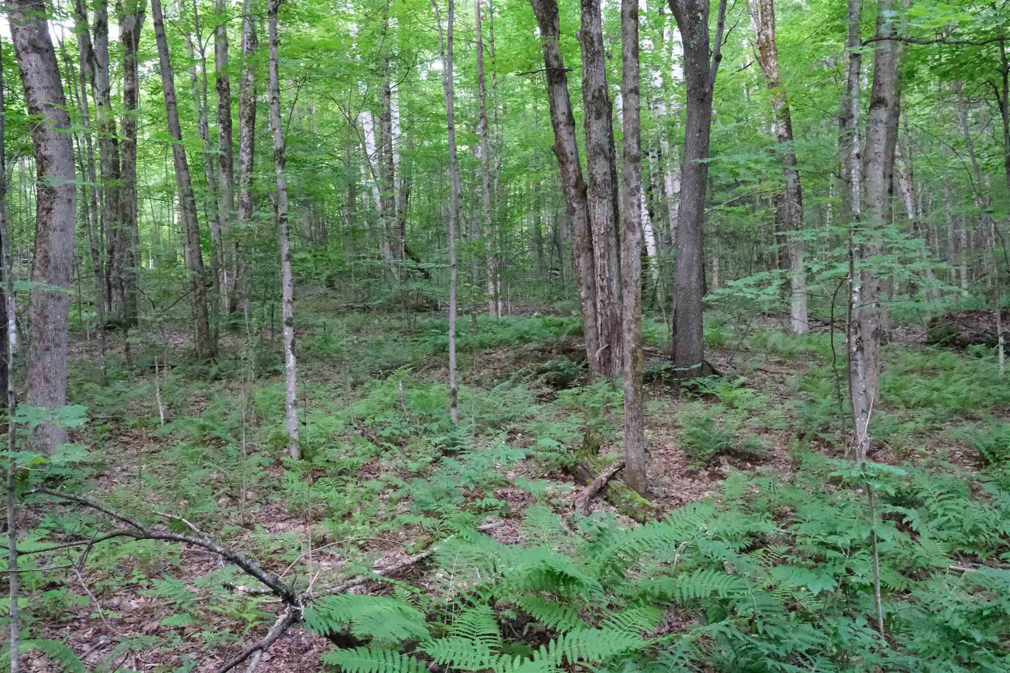 Lot 3 Taylor Road East Fairfield, VT 05448 - Photo 9 of 15 Gallery Image 9