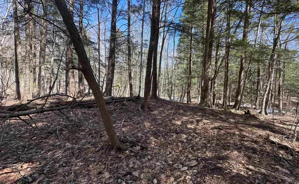 $59,900 | Valley Road, Washington, NH 03280