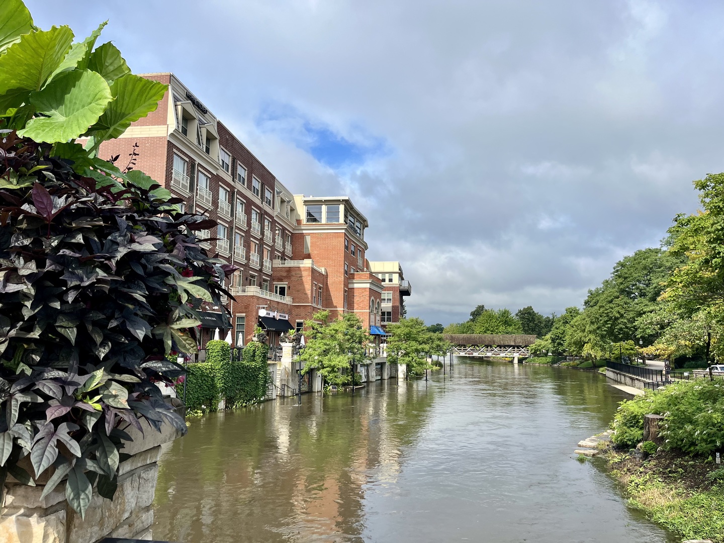 629 South Main Street, Unit BACK Naperville, IL 60540 - Photo 24 of 29 a city view with a lake view