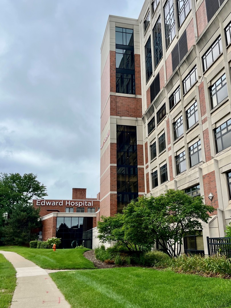 629 South Main Street, Unit BACK Naperville, IL 60540 - Photo 29 of 29 a view of a building with a yard