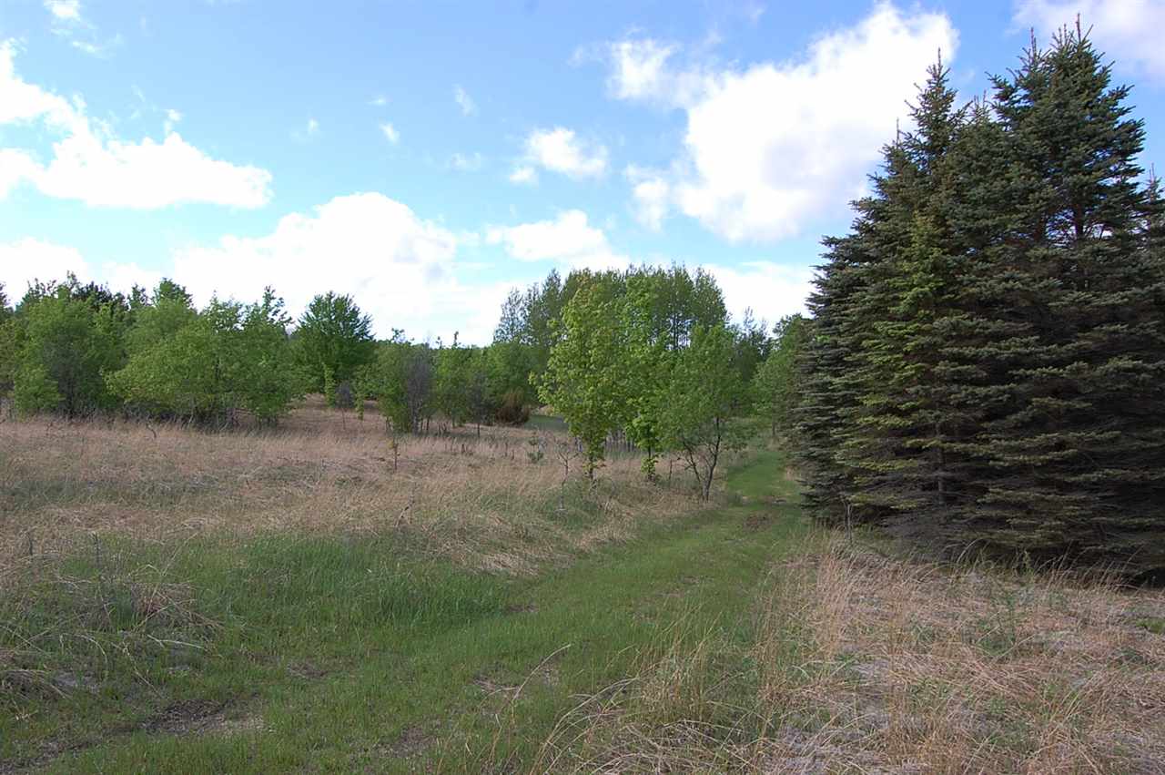 624 Sharon Road Southwest Fife Lake, MI 49633 - Photo 29 of 45 1808192-32.JPG