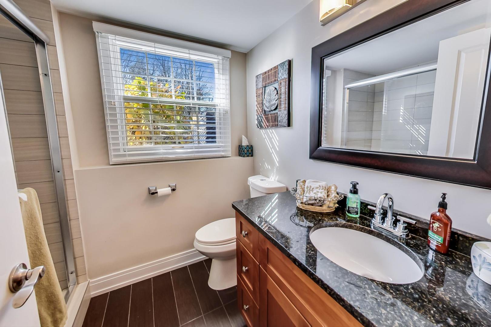 34 Timber Hill Road Buffalo Grove, IL 60089 - Photo 20 of 37 a bathroom with a granite countertop sink mirror vanity and a toilet