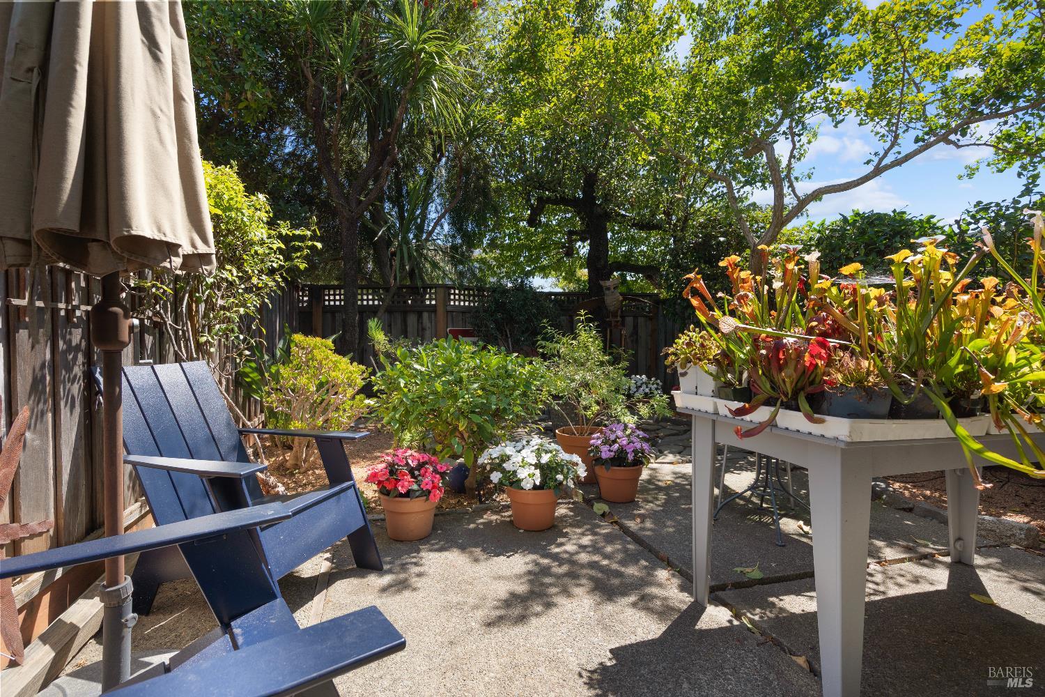 9 Porto Bello Drive San Rafael, CA 94901 - Photo 12 of 34 a view of outdoor space yard and patio