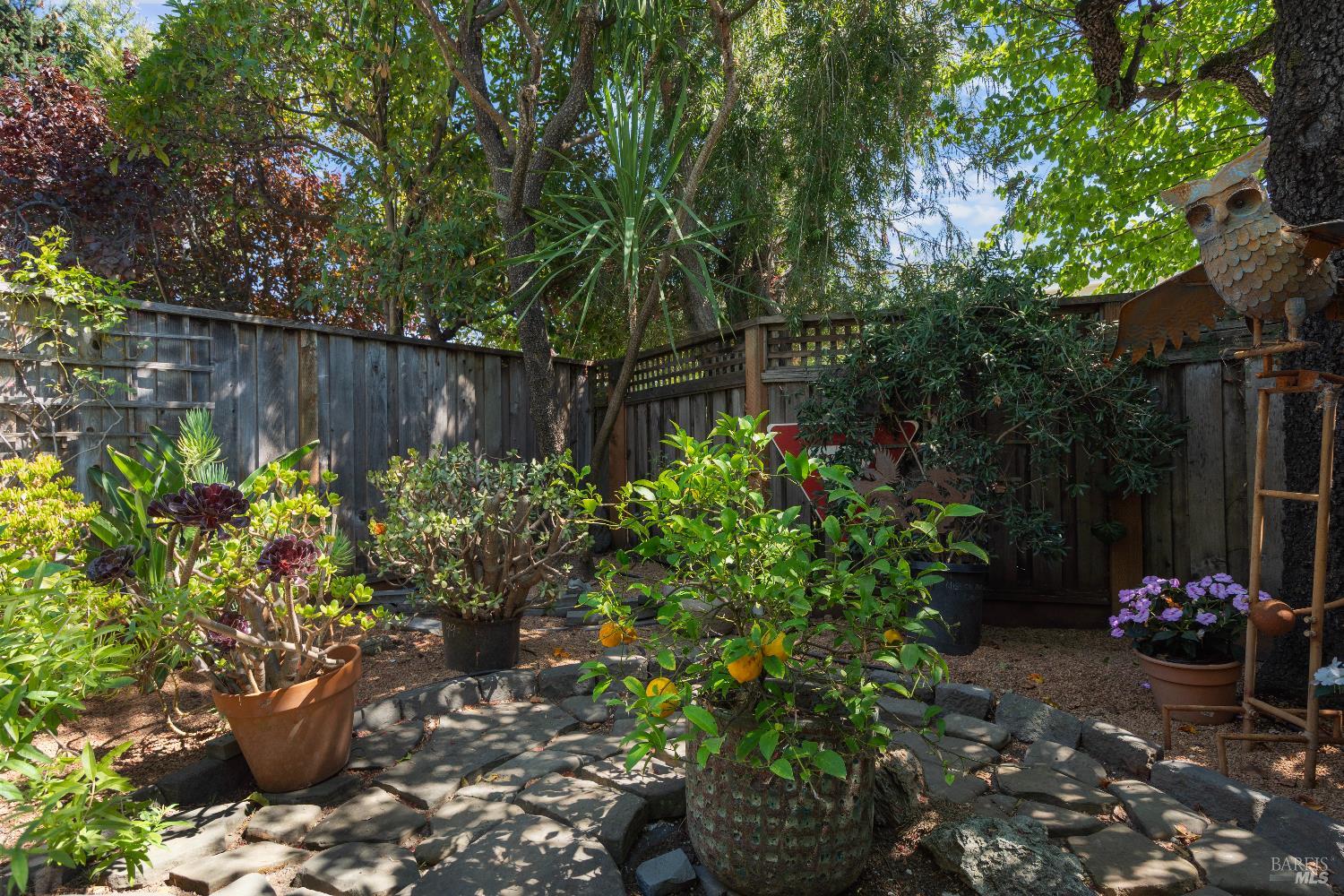 9 Porto Bello Drive San Rafael, CA 94901 - Photo 14 of 34 a view of a backyard with potted plants and large trees