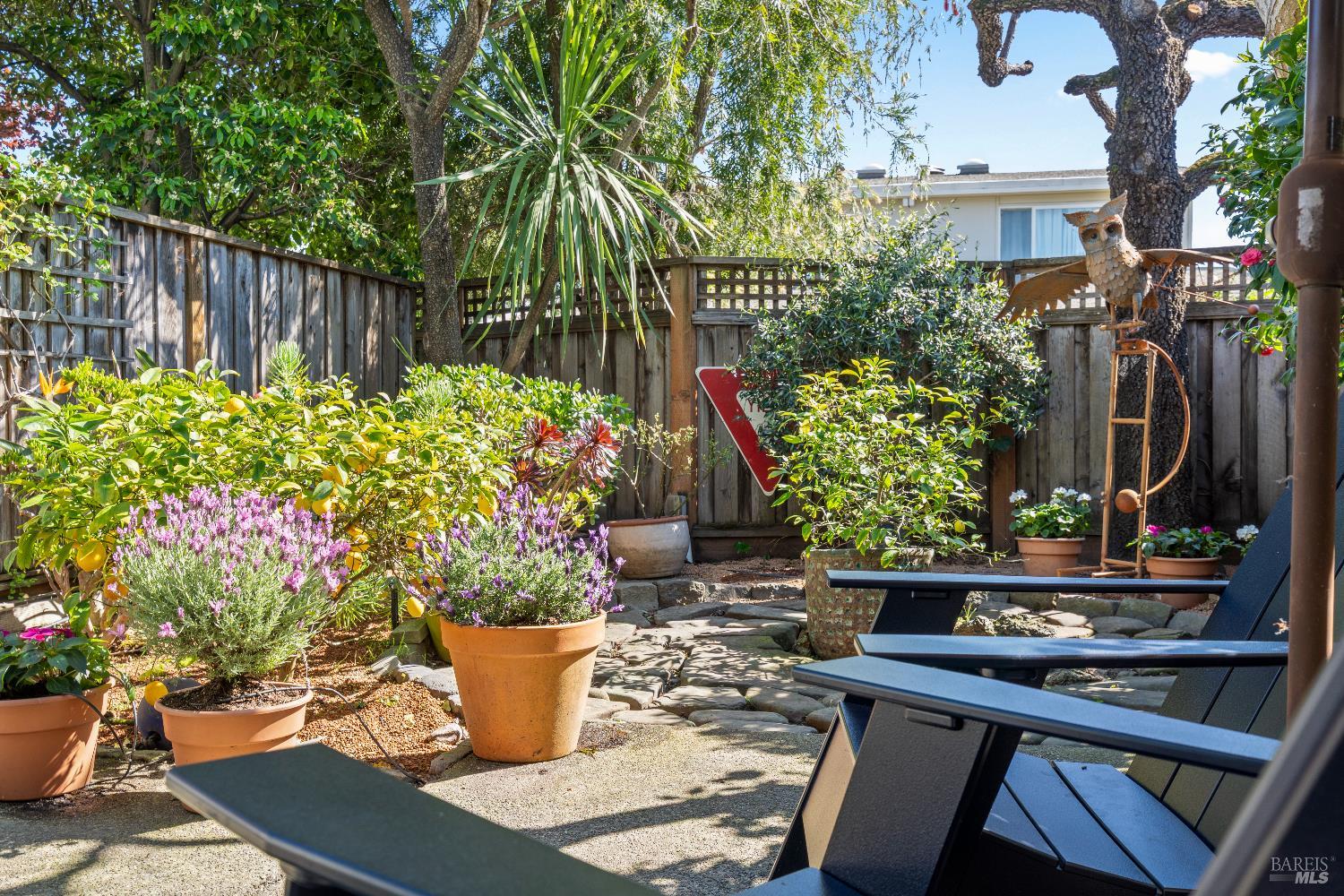 9 Porto Bello Drive San Rafael, CA 94901 - Photo 4 of 34 a view of a wooden bench in patio