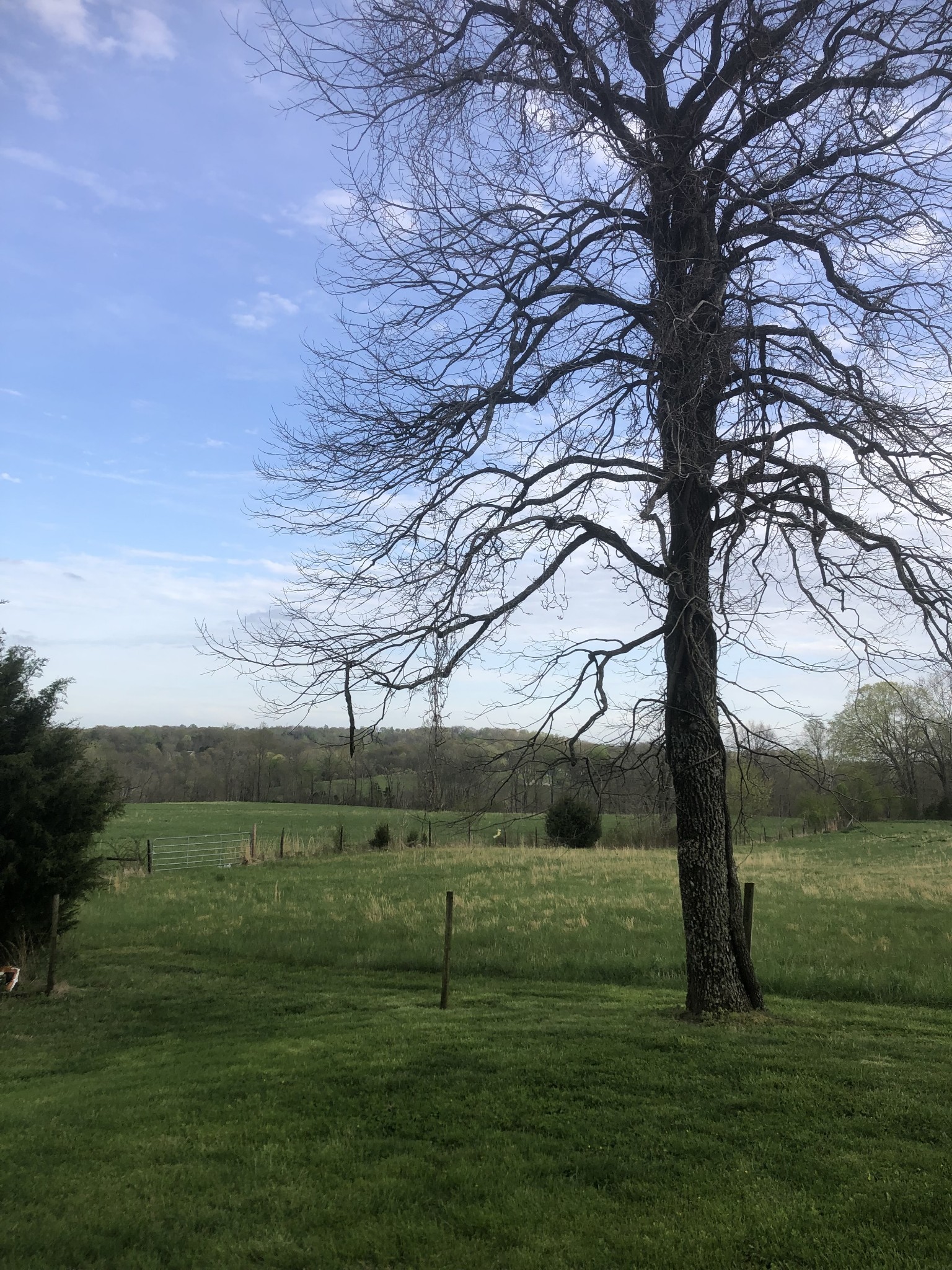5651 State Highway 48 Cunningham, TN 37052 - Photo 10 of 10