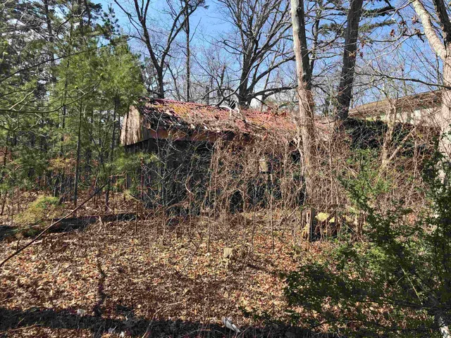 a view of a tree in a yard