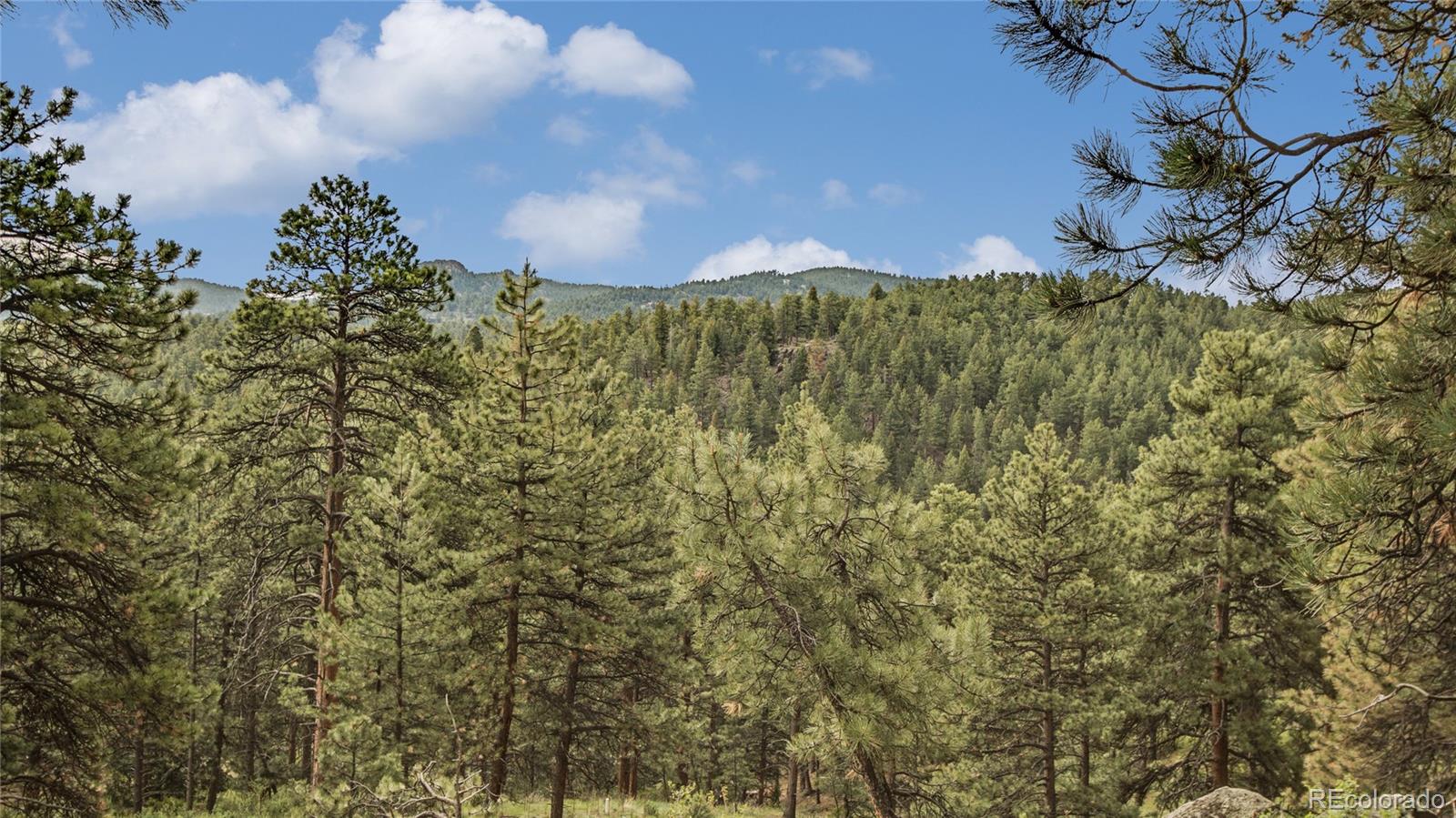 29284 Lee Road Evergreen, CO 80439 - Photo 4 of 35 Gallery Image 4