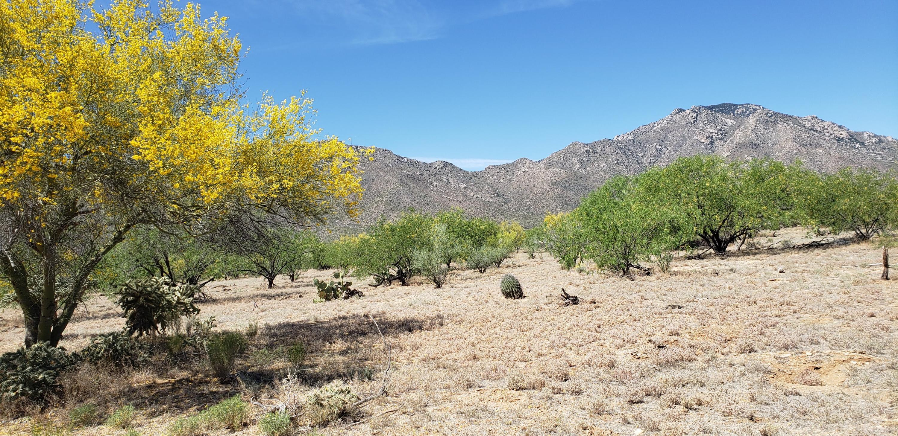 23400 West Ressie Road, Unit 98 Tucson, AZ 85735 - Photo 8 of 36