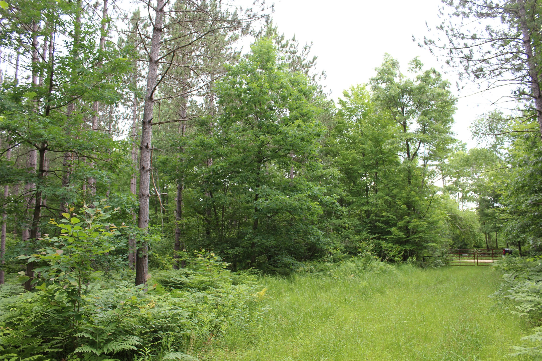 0 Rouse Road Neillsville, WI 54456 - Photo 2 of 27