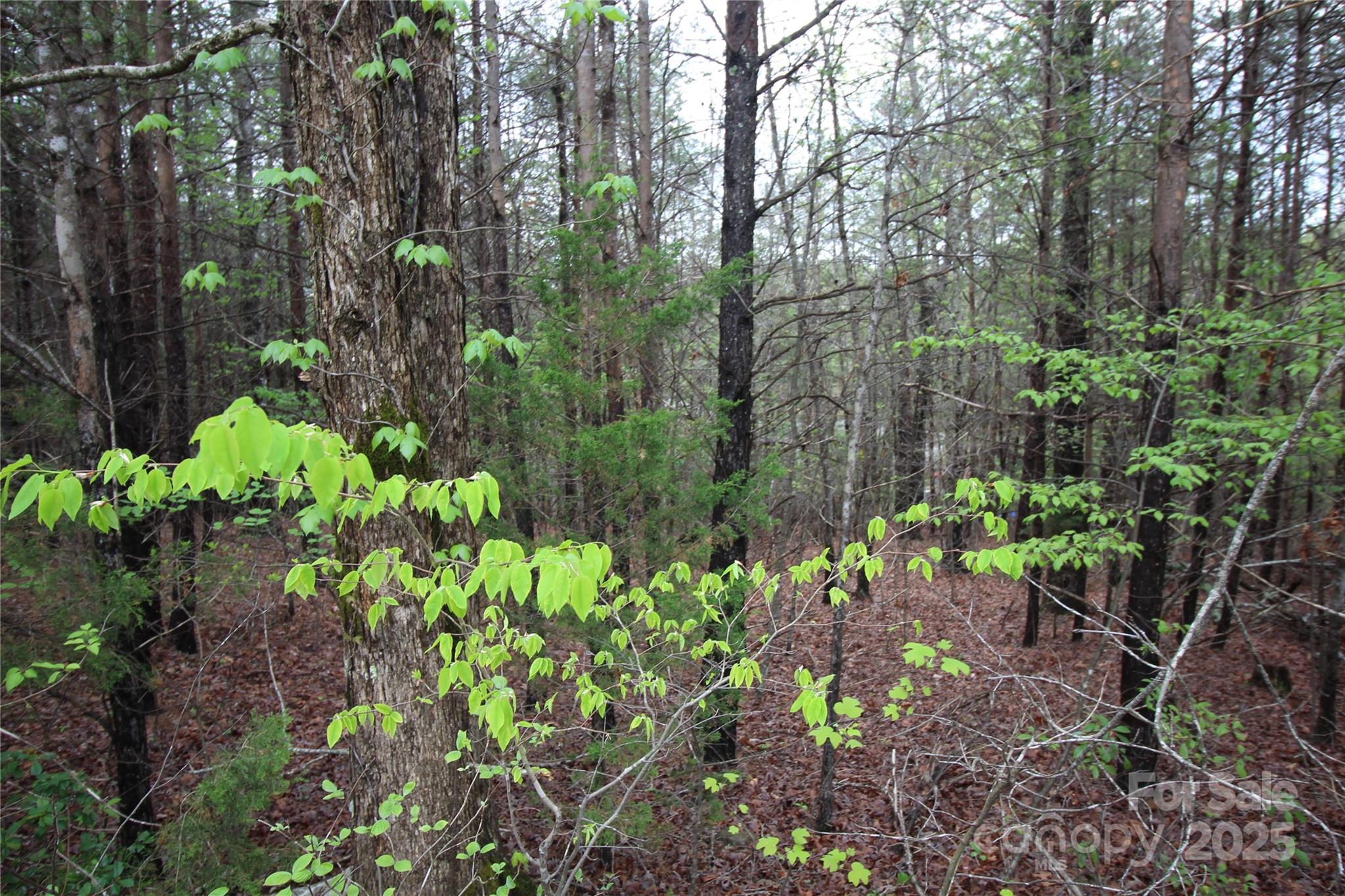 Lot #10 Ridge Way, Unit LOT 10 Marion, NC 28752 - Photo 1 of 9 Gallery Image 1