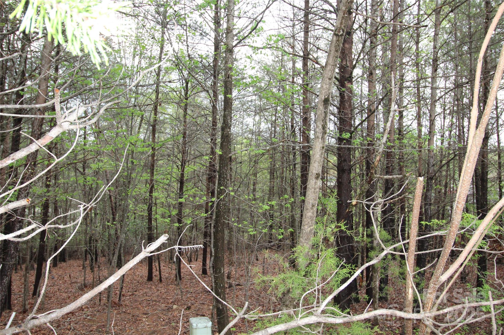 Lot #10 Ridge Way, Unit LOT 10 Marion, NC 28752 - Photo 2 of 9 Gallery Image 2