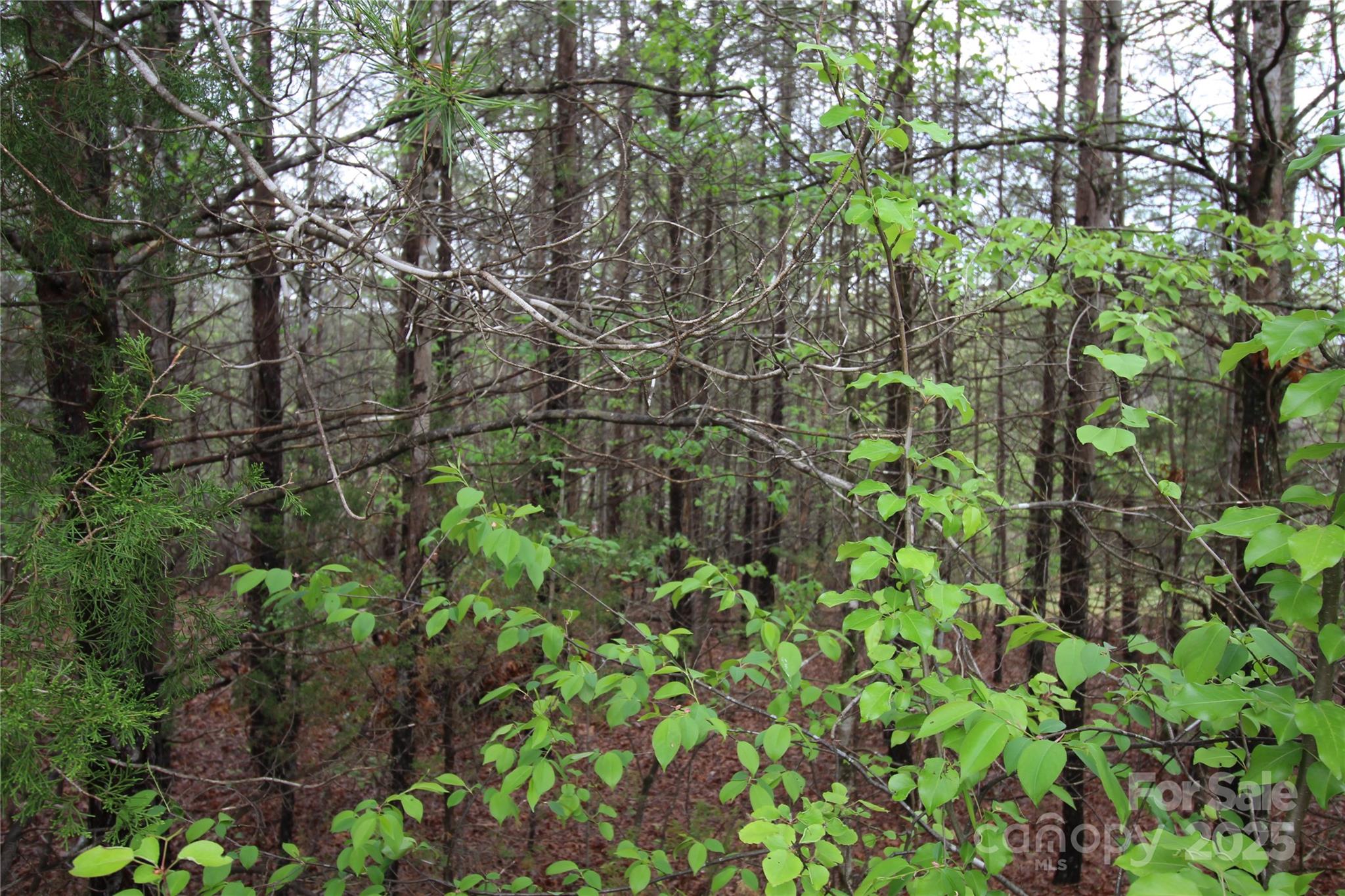 Lot #10 Ridge Way, Unit LOT 10 Marion, NC 28752 - Photo 3 of 9 Gallery Image 3