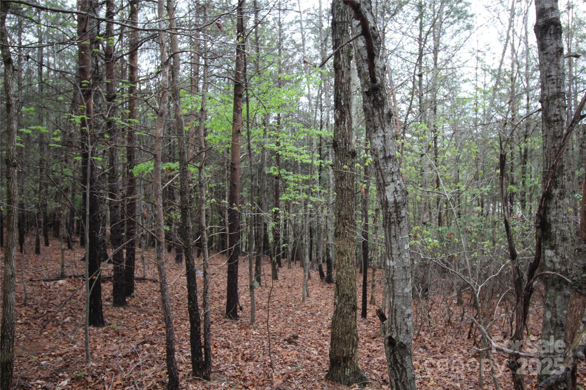 Lot #10 Ridge Way, Unit LOT 10 Marion, NC 28752 - Photo 4 of 9 Gallery Image 4