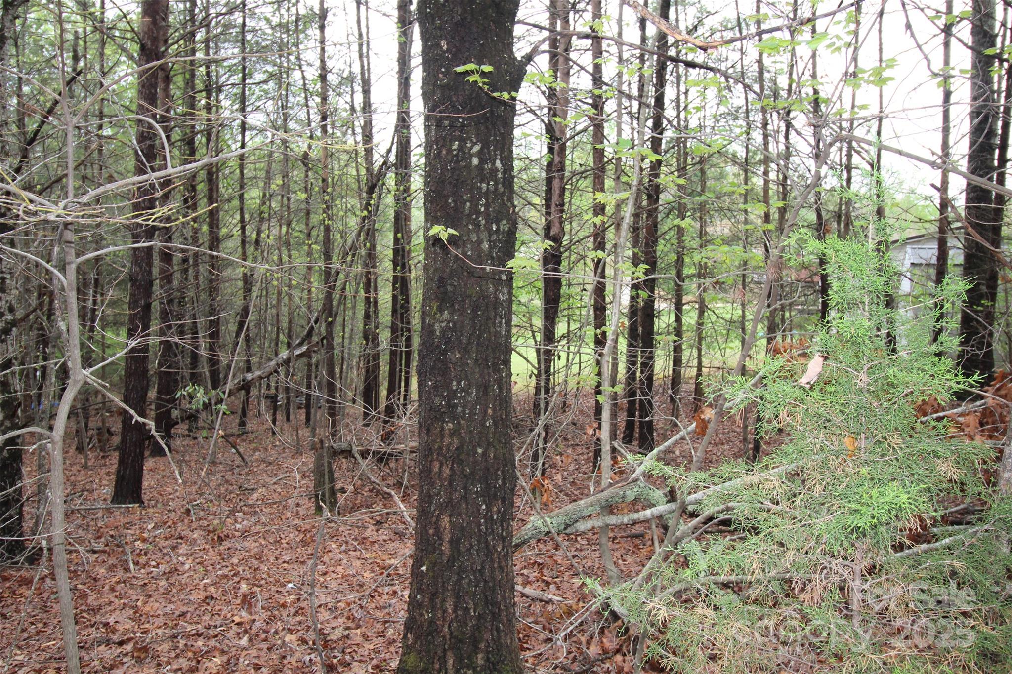 Lot #10 Ridge Way, Unit LOT 10 Marion, NC 28752 - Photo 5 of 9 Gallery Image 5