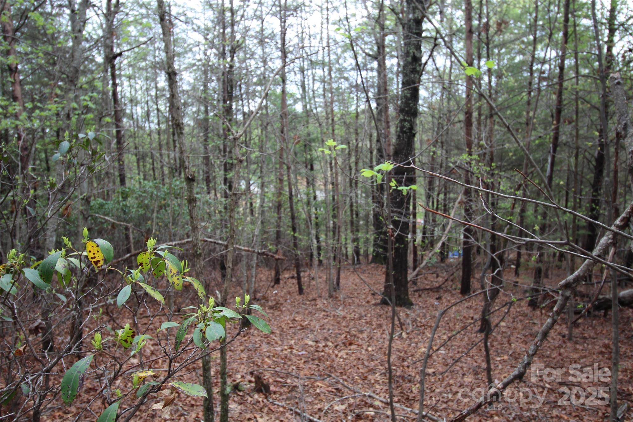 Lot #10 Ridge Way, Unit LOT 10 Marion, NC 28752 - Photo 6 of 9 Gallery Image 6