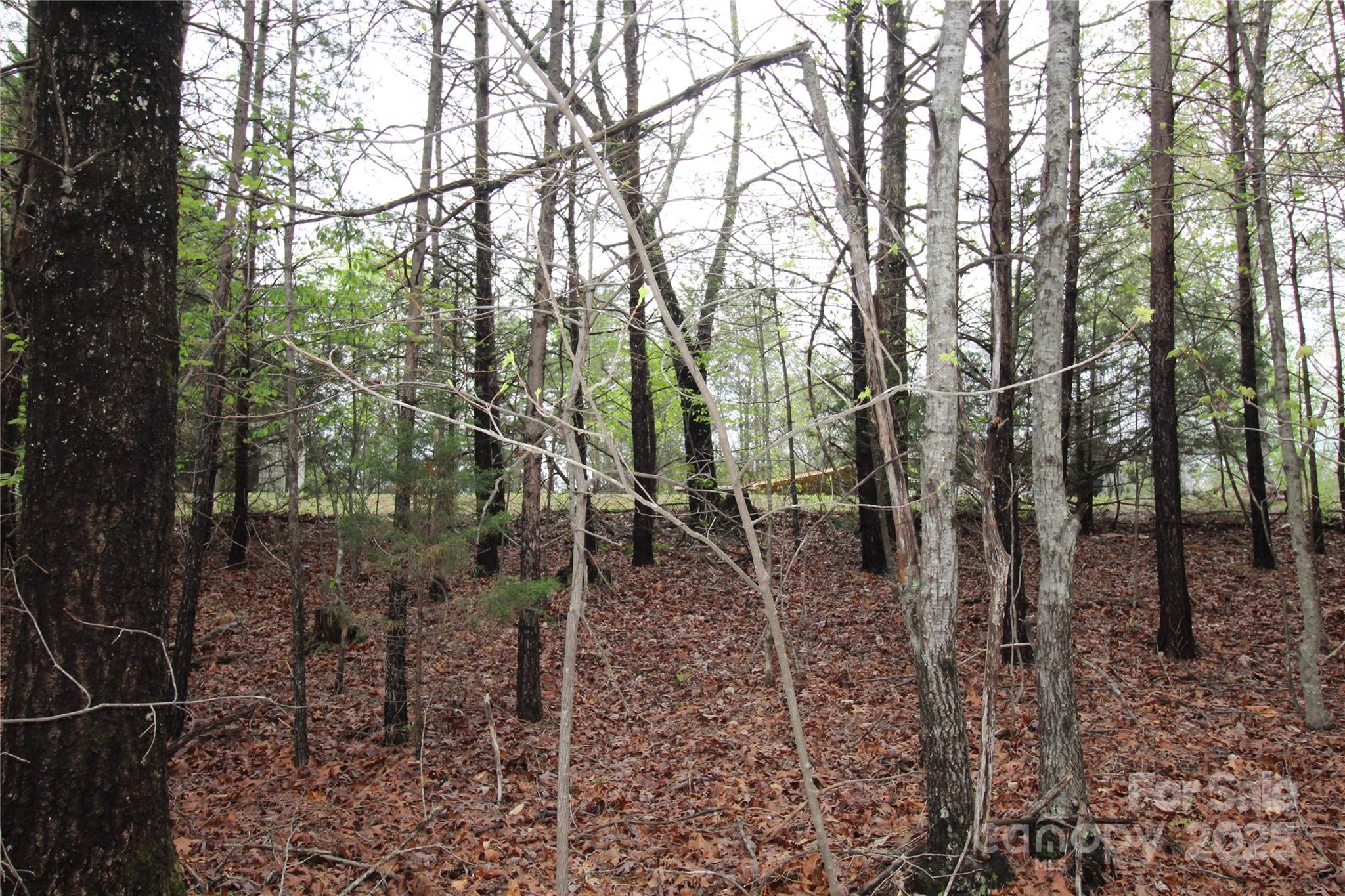 Lot #10 Ridge Way, Unit LOT 10 Marion, NC 28752 - Photo 7 of 9 Gallery Image 7