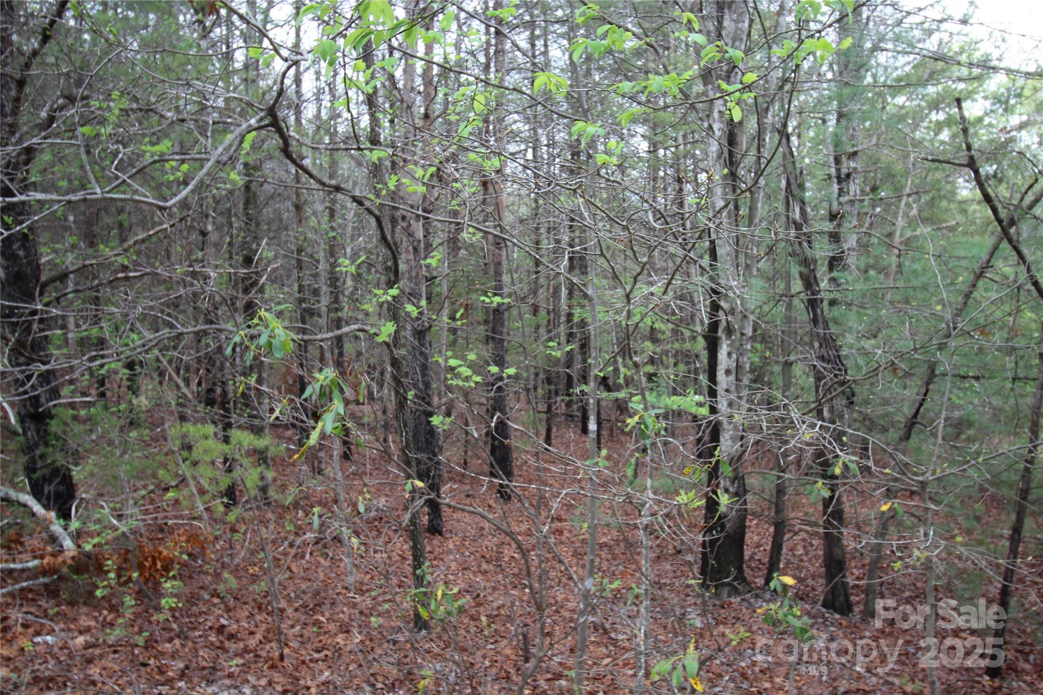 Lot #10 Ridge Way, Unit LOT 10 Marion, NC 28752 - Photo 8 of 9 Gallery Image 8