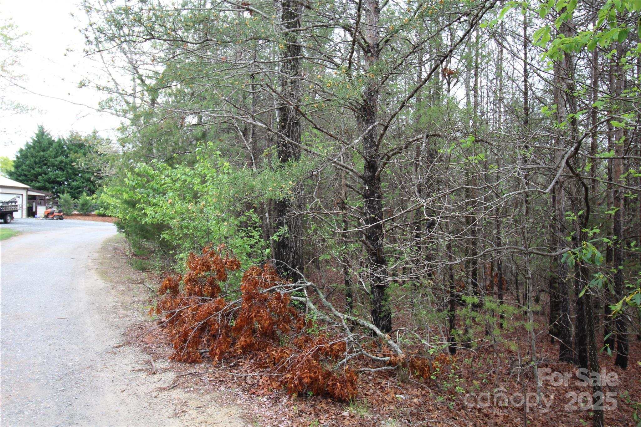 Lot #10 Ridge Way, Unit LOT 10 Marion, NC 28752 - Photo 9 of 9 Gallery Image 9