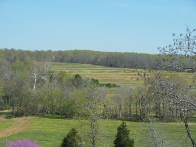 180 Batson Road Cunningham, TN 37052 - Photo 2 of 20 THIS IS THE VIEW FROM THE FRONT PORCH