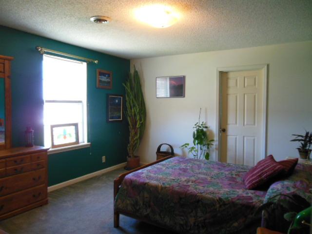180 Batson Road Cunningham, TN 37052 - Photo 12 of 20 BEDROOM 3